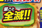 （ヽ´ん`）「アリの巣コロリってあるじゃん」