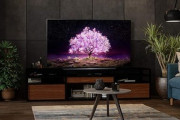 48インチのテレビ買ったんやが