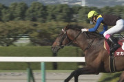 【正式発表】マカヒキが引退……北海道日高郡新ひだか町のレックススタッドで種牡馬入り