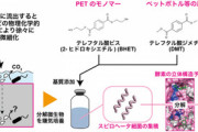 ポリエチレンテレフタレートを分解する微生物が発見