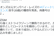 埼玉西武ライオンズ、元タンパベイ・レイズのディートリック・エンス 投手(30歳)の獲得を発表