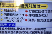 【悲報】現金給付は中止　旅行と外食限定の商品券に
