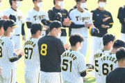 阪神・佐藤輝、中野効果か　今キャンプ最多の２０００人のファンが観戦　南国の地に活気