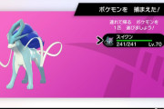 まだ剣盾のダイアドベンチャーで「色伝説」を粘る勢…