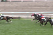 【競馬】レッドリヴェール復活