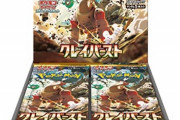 【人生相談】ポケモンカード転売ヤーのワイの将来を考えるスレｗｗｗｗｗｗ