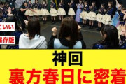 【約束された神回】オードリーと日向坂46の伝説の1日に密着する【ひなあい】