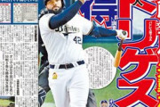 阪神、逆襲加速へ補強　新助っ人に元オリックス・ロドリゲスをリストアップ！