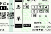【競馬】ルークズネスト買えたやつ