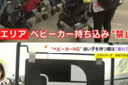 ジブリパーク「ベビーカーは危険」ウナギイヌ知事「ベビーカーは邪魔」入り口でベビーカー強制剥奪中