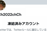 【悲報】Twitter社ガチでキモチワルイすぎる。ガーシーの本垢凍結、サブ垢も秒速で凍結。関係者の垢も凍結。これがWeb2の最悪なところなんだよ
