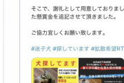 【速報】代々木公園で飼い犬が失踪！見つけたら懸賞金500万円！