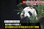 【日中】上野パンダ2頭、リーリーとシンシン　中国と貸与期間約5年延長で調整　シャンシャンは年末までに返還