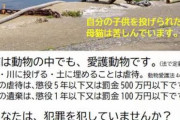 【悲報】漁師さん、猫を海にポイしていた