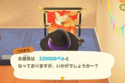 【あつまれ どうぶつの森】めちゃくちゃ高い商品あるんだがｗｗｗ