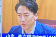 【レジ袋復活くるか】小泉進次郎終了ｗｗｗｗｗｗｗｗｗｗｗｗｗ