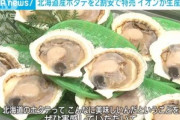 イオンで北海道産ホタテ20%オフｷﾀ━━━━(ﾟ∀ﾟ)━━━━!!