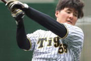 成長著しい阪神・前川　ついに左腕相手にも「6番右翼」で初スタメン　渡辺諒、大山、ノイジーの中軸