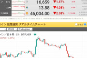 【悲報】ビットコイン新年早々逝く