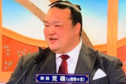 【朗報】稀勢の里の解説が素晴らしいとネット上でも絶賛される！
