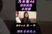 【田村真佑小川彩】『赤ちゃん あーや と 瞬き まゆたん』#田村真佑 #小川彩 #乃木坂46 #イッツオンミー #乃木坂工事中