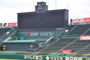 阪神が30日からの４試合を無観客に　29日２軍戦も無観客