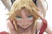 【FGO】こちらにあーんしてくる猫耳モーさん！！　後ろの釘バットは何ですかね....
