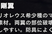 【MH】モンハンのハンター「火竜の剛翼を手に入れた！」←これｗｗｗｗ