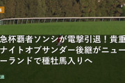 阪急杯覇者ソンシが電撃引退！貴重なナイトオブサンダー後継がニュージーランドで種牡馬入りへ
