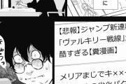 【悲報】打ち切り漫画家の苦悩が辛すぎる模様