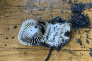 ワイの小型扇風機が突然火を吹いて爆発した