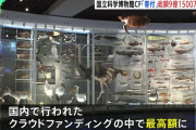 物価高に苦しむ国立科学博物館のクラファン終了目標1億→9億1500万円集まる国内クラファンで最高額 |  日本でここまで科学への理解が浸透してるとは…