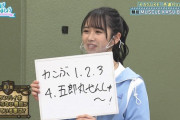 【日向坂46】日向坂の大喜利タイプを分析してみたｗｗｗｗｗｗｗｗ