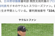 昨日の３塁塁審・土山さん、wikipediaを荒らされる