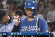 日ハム郡司、今季3度目の猛打賞「思い切っていきました」