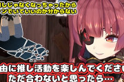 Vtuber 【宝鐘マリン】「合わないと思ったら離れて欲しい」←マリンは「嫌なら見るな」をめちゃくちゃにわかりやすく何度も伝えてるのに厄介一味消えないのやばいよな…