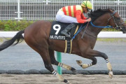 【競馬予想】[2]第40回東海ステークス(GII) /2023