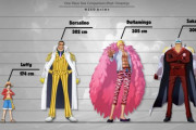 【悲報】ワンピースのキャラクターの身長を比べたらとんでもないことにｗｗｗｗｗｗｗ