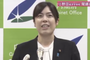 小野田紀美大臣　オタクの鑑だった