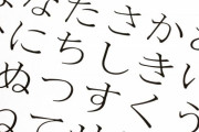 なんJ民「明朝体嫌い！メイリオ嫌い！游ゴシック嫌い！」