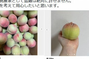 山梨県で桃4000個盗まれる→メルカリに大量出品→産地の質問に｢山崎県です｣