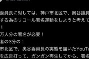 【悲報】N国立花、ガチで奥谷を潰しにかかるｗｗｗｗｗｗｗｗｗｗｗｗｗｗ
