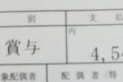 ワイ介護福祉士の今年の年収がこちら