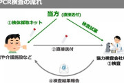 【武漢肺炎】孫正義「簡易PCR検査の流れ」　患者自身が検体を採取→送付