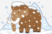 絶滅したケナガマンモス 2028年に“復活”する可能性