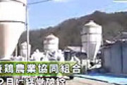 【動画】 悪臭放つ14万羽の死骸、放置された大量のフンから火災も・・ 和歌山県のブランド鶏「紀州うめどり」経営破綻の裏に「不可解な動き」