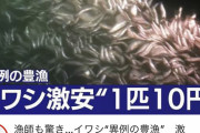 【朗報】　イワシ、1匹10円へ
