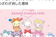【画像】サンリオさん、新グッズでこぎみゅんだけハブってしまい炎上してしまう