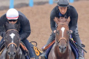 【安田記念】サリオス堀調教師「東京1600は言い訳できないコース」