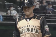 【悲報】日ハム杉谷拳士、ついに打率.100になってしまう